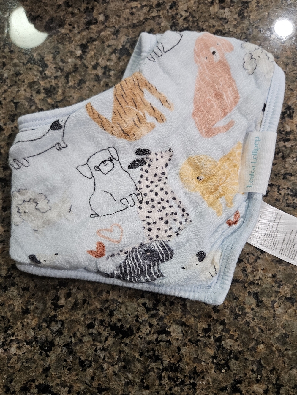 Loulou Lollipop Bib